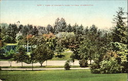 View In Wright's Park Postcard