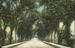 Entrance To St. Agnes & Rural Cemeteries Albany, NY Postcard Postcard