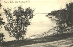 View Of Cedar Cliff Plattsburgh, NY Postcard Postcard