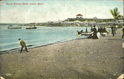 Salem Willow Beach Postcard