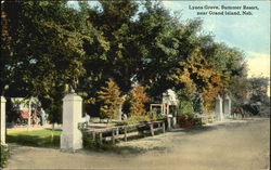 Lyons Grove Summer Resort Postcard