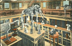 Interior Albany Medical College New York Postcard Postcard