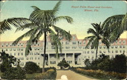 Royal Palm Hotel And Gardens Postcard