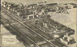 The University Of Chicago Postcard