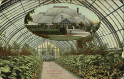 Lincoln Park Conservatory Chicago, IL Postcard Postcard