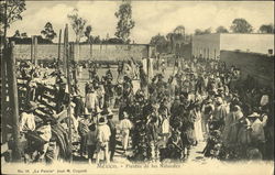 Fiestas De Los Naturales Postcard