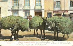 Burros Cargando Paja Mexico Postcard Postcard