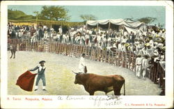 Toros Acapulco Postcard