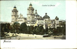 Catedral De Mexico Postcard