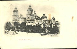 Catedral De Mexico Postcard