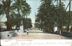 Veracreuz La Alameda Postcard