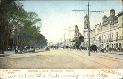 Alameda Y Calle Mariscala Postcard