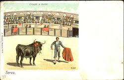 Toros Postcard