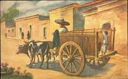 Bulls and Cart Postcard