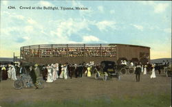 Crowd At The Bullfight Tijuana, Mexico Postcard Postcard