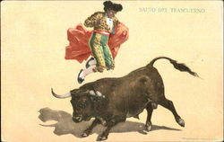 Salto Del Trascuerno Postcard