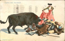 Caida Del Picador Postcard