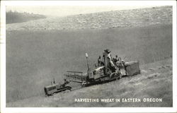 Harvesting Wheat In Eastern Oregon Postcard