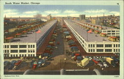 South Water Market Postcard