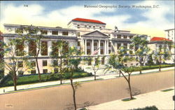 National Geographic Society Postcard