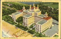 The Don Ce-Sar Hospital St. Petersburg, FL Postcard Postcard