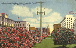 Palafox Street Postcard