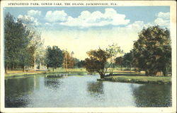 Springfield Park, Lower Lake, The Island Postcard