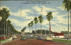 Tropical Bayshore Drive Postcard