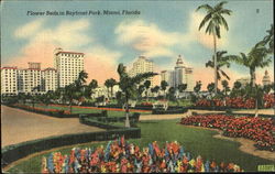 Flower Beds In Bayfront Park Miami, FL Postcard Postcard