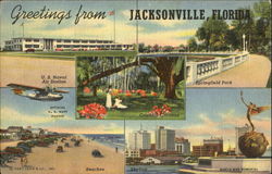 Greetings From Jacksonville Postcard