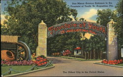 Fountain Of Youth Postcard