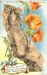 California Postcard Postcard