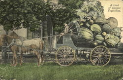 A Load Of Kansas Vegetable Postcard