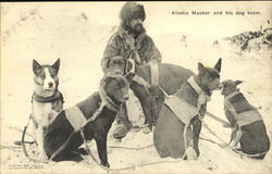 Alaska Musker And His Dog Team Dogs Postcard Postcard