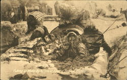 Cutting Up Whale By Natives At Edge Of Ice Flow Postcard