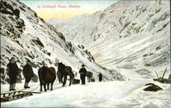 In Chilkoot Pass Postcard