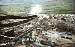 Scene On The Anvil Gold Mine Postcard