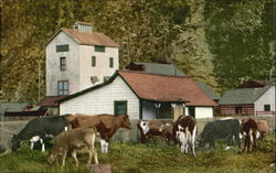 Farm Scene Postcard