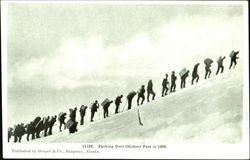 Packing Over Chilkoot Pass In 1898 Sitka, AK Postcard Postcard