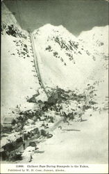 Chilkoot Pass During Stampede To The Yukon Postcard