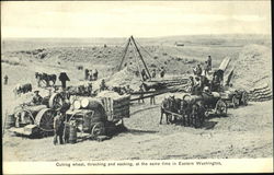 Cutting Wheat Washington Postcard Postcard