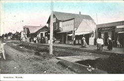 Street Scene Seaview, WA Postcard Postcard