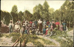 Hop Pickers Postcard