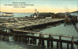 Salmon Cannery And Cold Storage Plant Postcard