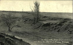 View On The Oregon Trail Postcard