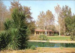 House, pond, and tropical trees Postcard