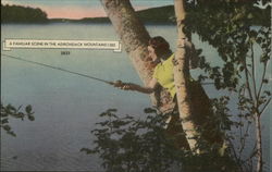 A Familiar Scene In The Adirondack Mountains:1202 Postcard