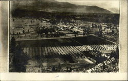 Birdseye View Postcard