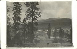 Kettle Falls Washington Postcard Postcard