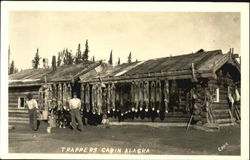 Trappers Cabin Alaska Postcard Postcard